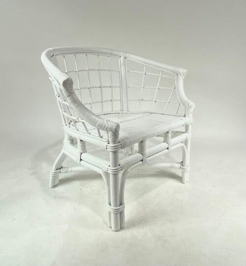 Vintage Rattan White Arm Chair